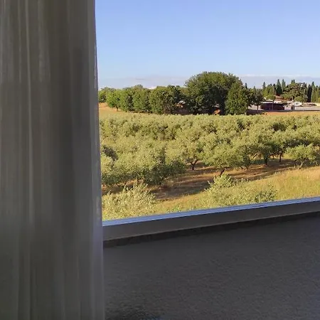Apartman Meli