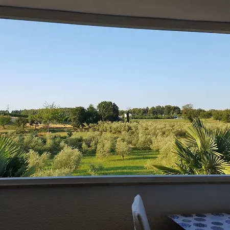 Apartment Apartman Meli
